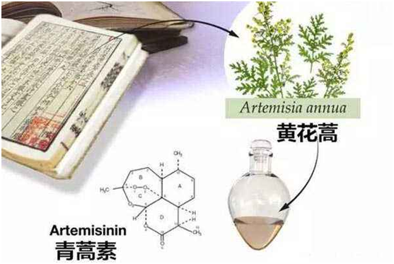 广发在线：向中医药看齐，与世界共享中医药文化(图1)